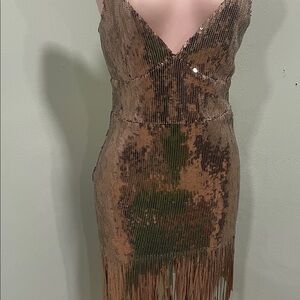 Sequin Fringe Dress